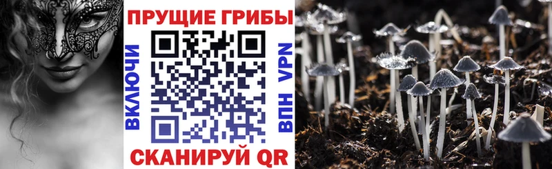 Галлюциногенные грибы Magic Shrooms  Данилов 
